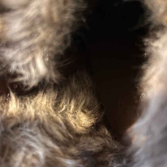 Women’s boots with a small  heel - Picture 7 of 8